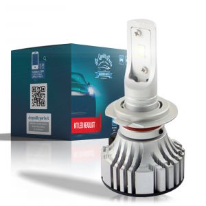 DQP Singolo Headlight POLARIS HD 24V per H11