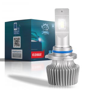 DQP Singolo Headlight AVIOR per H84